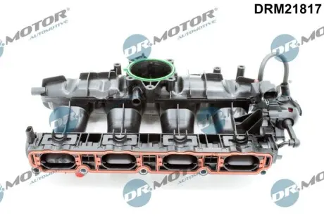 Колектор впускний VW Golf VI/Passat 1.8/2.0 TSI B6/B7 09-16 DR.MOTOR DRM21817 Купити в Україні