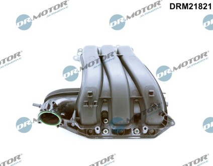 Система впуску DR.MOTOR DRM21821