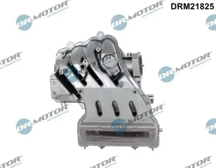 Колектор впускний VW Caddy III/Passat B6/Skoda Octavia II 1.6 04-15 DR.MOTOR DRM21825 Купити в Україні