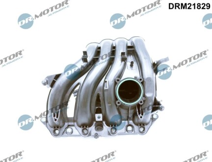 Автозапчасть DR.MOTOR DRM21829