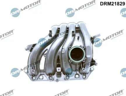 Колектор впускний DR.MOTOR DRM21829 Купити в Україні
