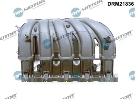 Колектор впускний VW Jetta IV/Beetle/New Beetle 2.5 05-19 DR.MOTOR DRM21836 Купити в Україні