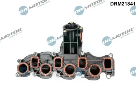Колектор впускний VW Caddy III-IV 1.6 TDI 10-15 DR.MOTOR DRM21841