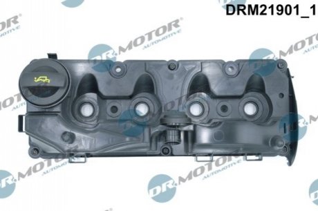 Кришка головки циліндра VW GOLF 2,0TDI 09- Z USZCZELKд DR.MOTOR DRM21901 (фото 1)