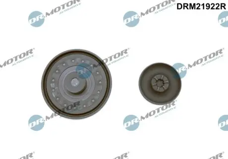 Комплект прокладок гумових DR.MOTOR DRM21922R Купити в Україні