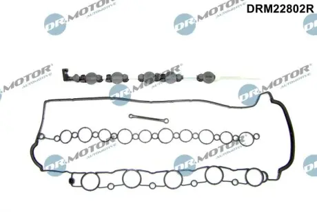 Фото Ремкомплект колектора впускного Volvo C30/C70/S40/S60/S80/V50/XC60/XC70 2.4D 05-16 DR.MOTOR (DRM22802R) зображення 1