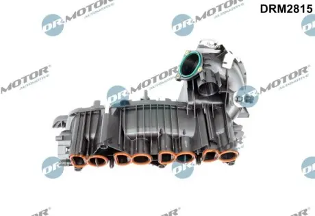 Колектор впускний BMW 1 (E81/E82/E87/E88)/3 (E90)/X1 (E84) 2.0D (N47) 06-15 DR.MOTOR DRM2815 Купити в Україні