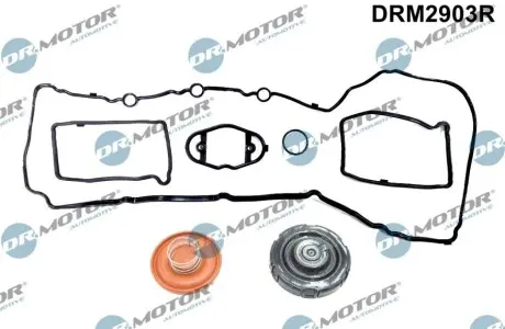 Ремкомплект кришки клапанів BMW 3 (F30/F35)/4 (F32)/5 (F10)/X5 (F15/F85) 2.0 i (N20) 09- (к-кт) DR.MOTOR DRM2903R Купити в Україні