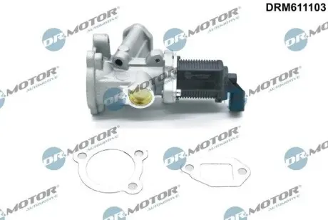 Клапан рециркуляцiї DR.MOTOR DRM611103 Купити в Україні