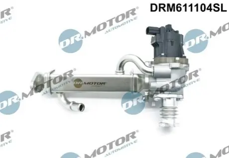 Клапан рециркуляцiї з AGR-радiатором DR.MOTOR DRM611104SL Купити в Україні