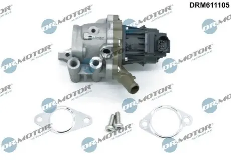 Клапан рециркуляцiї IVECO DAILY V 11-14/DAILY VI 14 DR.MOTOR DRM611105 Купити в Україні