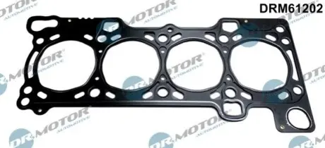 Прокладка пiд головку FIAT 01-/IVECO 02-/UAZ 06 DR.MOTOR DRM61202 Купити в Україні