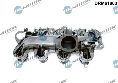 Колектор впускний Ford Mondeo IV 2.2TDCi 129/147kw 08-15 DR.MOTOR DRM61803