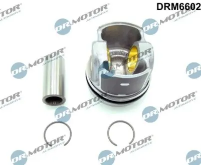 Автозапчастина DR.MOTOR DRM6602