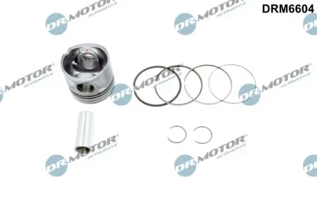 Поршень Citroen Jumper II/Peugeot Boxer 2.2HDi 06- (86.00mm/STD) DR.MOTOR DRM6604 Купити в Україні