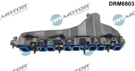 Колектор впускний Ford Transit 2.4 DI/TDE/TDCi RWD 00-14 DR.MOTOR DRM6803 Купити в Україні