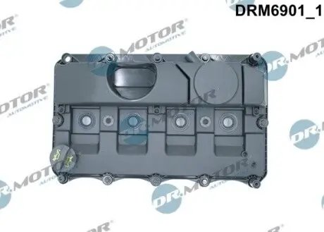 Кришка клапанів Ford Transit 2.4TDCI 06-14 DR.MOTOR DRM6901 Купити в Україні