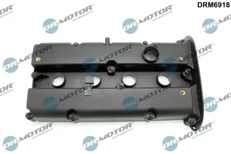 Кришка клапанів Ford Focus 1.4-1.6 04-12 DR.MOTOR DRM6918 Купити в Україні