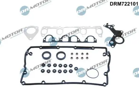 Комплект прокладок (верхній) VW Golf IV/Caddy 1.9 TDI/2.0 SDI 01-10 DR.MOTOR DRM722101 Купити в Україні