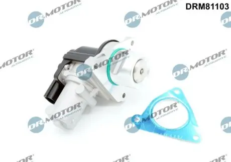 Клапан EGR Kia Sorento 09-15/Hyundai Santa Fe 2.0-2.2 CRDi 12-18 DR.MOTOR DRM81103