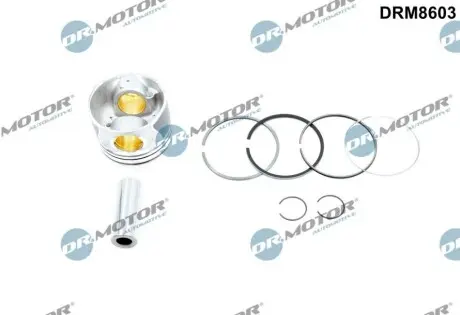 Поршень Hyundai Santa Fe 2.2 CRDi 06- (87.00mm/STD) DR.MOTOR DRM8603 Купити в Україні