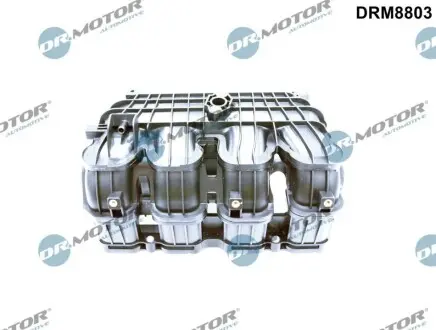 Система впуску DR.MOTOR DRM8803
