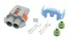 Штекерный корпус DT (224032) изображение 1
