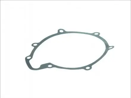 Ущільнення, водяний насос DT 316100