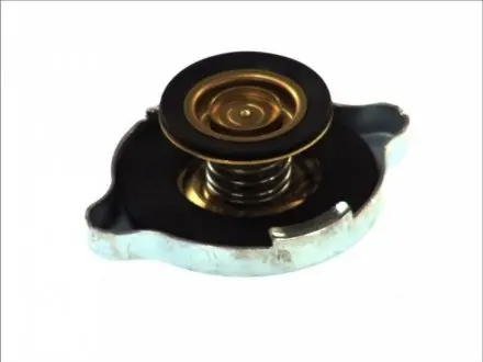 Кришка бачка охолоджуючої рідини DT 461807