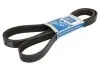 Дорожный пас - DIESEL TECHNIC (9069975592, 0109974692, 0109977392) DT (480745) изображение 1