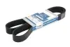 Дорожный пас - DIESEL TECHNIC (0009934296, 9069934296, 11287628661) DT (480752) изображение 1