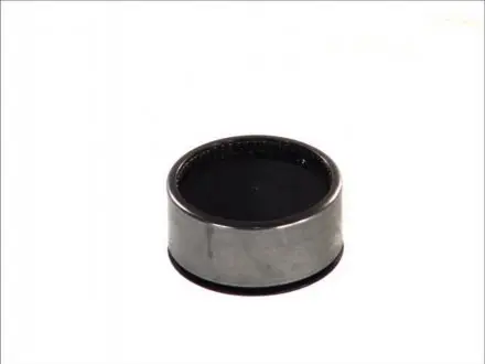 Подшипник шкворня DT 653210
