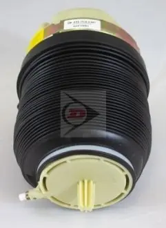 Фото Пневмоподушка = 71037, задня, (Audi A6 04-11) Dunlop (DAS10001) зображення 1