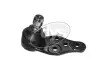 Опора кульова (передня/знизу) Chevrolet Lacetti/Daewoo Nubira 03- (d=18mm) DYS (2720784) зображення 1