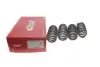 Фото Занижуючі пружини, Pro-Kit, 4шт, (30мм / 25мм) (1430кг / 1885кг) BMW X5 (G05, F95), X6 (G06, F96) 3.0D/3.0DH/4.4 08.18 EIBACH (E10-20-044-02-22) зображення 1