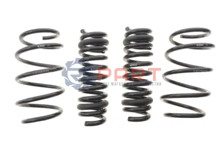 Комплект пружин (Pro-Kit) BMW Z4 (G29) 18- (4 шт.) EIBACH E10-20-046-01-22 Купить в Украине