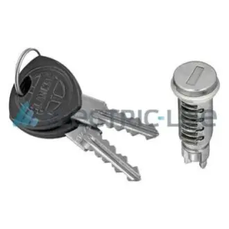 Автозапчастина ELECTRIC LIFE ZR801018