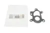 Фото Прокладка турбокомпресора FIAT TALENTO NISSAN NV300 OPEL VIVARO B RENAULT ESPACE V, GRAND SCENIC IV, MEGANE IV, SCENIC IV, TALISMAN, TRAFIC III 1.6D 05.14 Elring (004770) зображення 2