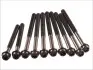 Комплект болтів ГБЦ FORD C-MAX, FIESTA, FIESTA IV, FOCUS C-MAX, FOCUS I, FOCUS II, GALAXY II, MONDEO IV, S-MAX, TOURNEO CONNECT, TRANSIT CONNECT 1.8D 08.98-06.15 Elring (027850) зображення 1