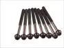 Комплект болтів ГБЦ FORD C-MAX, FIESTA, FIESTA IV, FOCUS C-MAX, FOCUS I, FOCUS II, GALAXY II, MONDEO IV, S-MAX, TOURNEO CONNECT, TRANSIT CONNECT 1.8D 08.98-06.15 Elring (027850) зображення 2