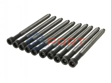 Комплект болтів ГБЦ SEAT LEON, TOLEDO II VW BORA, BORA I, GOLF IV 1.9D 02.00-06.06 Elring 057510 Купити в Україні