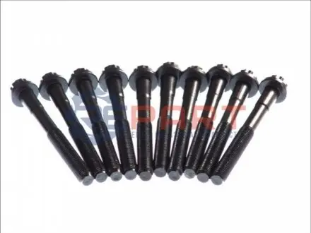 Комплект болтів ГБЦ TOYOTA AVENSIS, CALDINA, CAMRY, CARINA E VI, CARINA V, CHASER, CORONA, CORONA EXIV, GAIA, HARRIER, NADIA, PICNIC, RAV 4 I, SCEPTER, TOWN ACE 1.8/2.0/2.2 11.86-08.03 Elring 083200 Купити в Україні