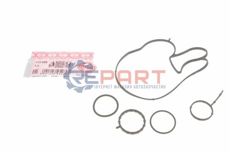 Прокладка помпы воды BMW 7 (G11/G12)/X5 (G05/F95)/X7 (G07) 18- B58 B30 (к-кт) ELRING 113.600