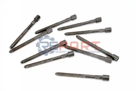 Комплект болтів ГБЦ AUDI A3, A4 B5, A4 B6, A4 B7, A6 C5, TT SEAT ALHAMBRA, CORDOBA, EXEO, EXEO ST, IBIZA II, IBIZA III, LEON, TOLEDO II SKODA OCTAVIA I, SUPERB I VW BORA, BORA I 1.8 01.95-12.10 Elring 130830 Купити в Україні