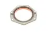 Фото Повний комплект прокладок двигуна IVECO DAILY III CITROEN JUMPER I, JUMPER II FIAT DUCATO PEUGEOT BOXER 2.8D 05.99 Elring (181.270) зображення 6
