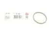 Прокладка колектора впуск Audi A6/A7/A8/Q5/Q7 / VW Touareg 3.0 TFSI 08- Elring (217.330) изображение 1