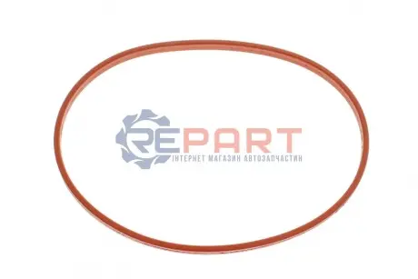 Прокладка впускного колектора AUDI A3, Q7, TT VW EOS, GOLF IV, GOLF V, PHAETON, TOUAREG 3.2/3.6 04.02-06.10 Elring 243500 Купити в Україні