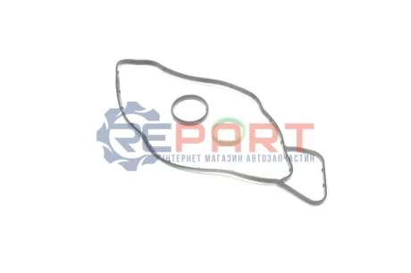 Прокладка масляного радиатора (к-кт) Daf XF/105/MX Elring 251.230