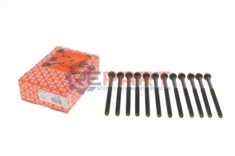 Комплект болтів ГБЦ VOLVO C30, C70 II, S40 II, S60 I, S80 I, S80 II, V50, V70 II, V70 III, XC60 I, XC70 I, XC70 II, XC90 I 2.4D 01.01-02.17 Elring 270130 Купити в Україні
