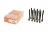 Фото Комплект болтів ГБЦ MAZDA 323 F VI, 323 S VI, 626 V, PREMACY 2.0D 04.98-03.05 Elring (272080) зображення 1